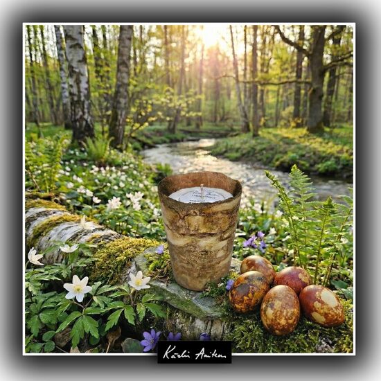 Svece no kolekcijas "Lai krāso daba!"